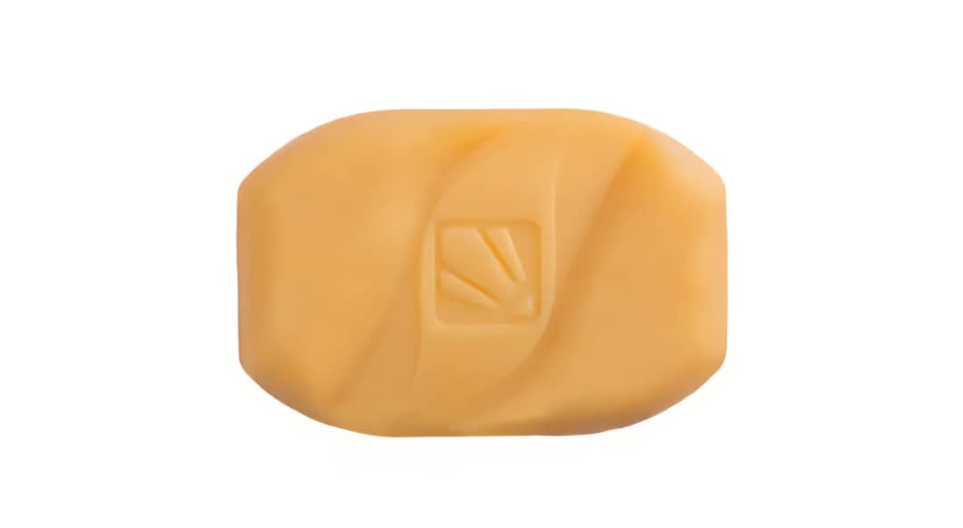 ارسال رایگان صابون گانودرما دکتر بیز مراقبت طبیعی از پوست با قارچ گانودرما 🍄✨