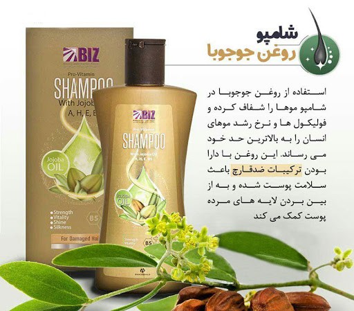 شامپو جوجوبا دکتربیز؛ احیاکننده موهای خشک و کم‌جان ✨🌿