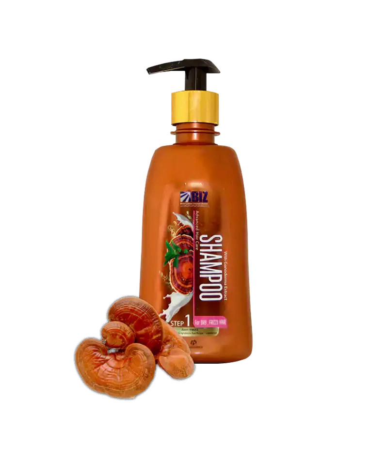 «رفع وزی و خشکی مو با شامپو گانودرما؛ مناسب موهای خشک و بی‌جان با عملکرد درمانی واقعی 💧💚»