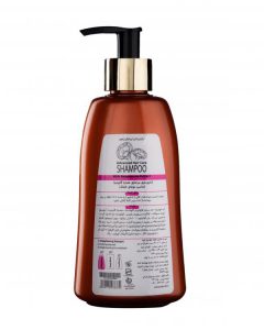 شامپو گانودرما، شامپو موی خشک، شامپو گیاهی