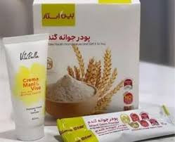 جوانه گندم بین استار مکمل طبیعی افزایش وزن و انرژی باارسال رایگان